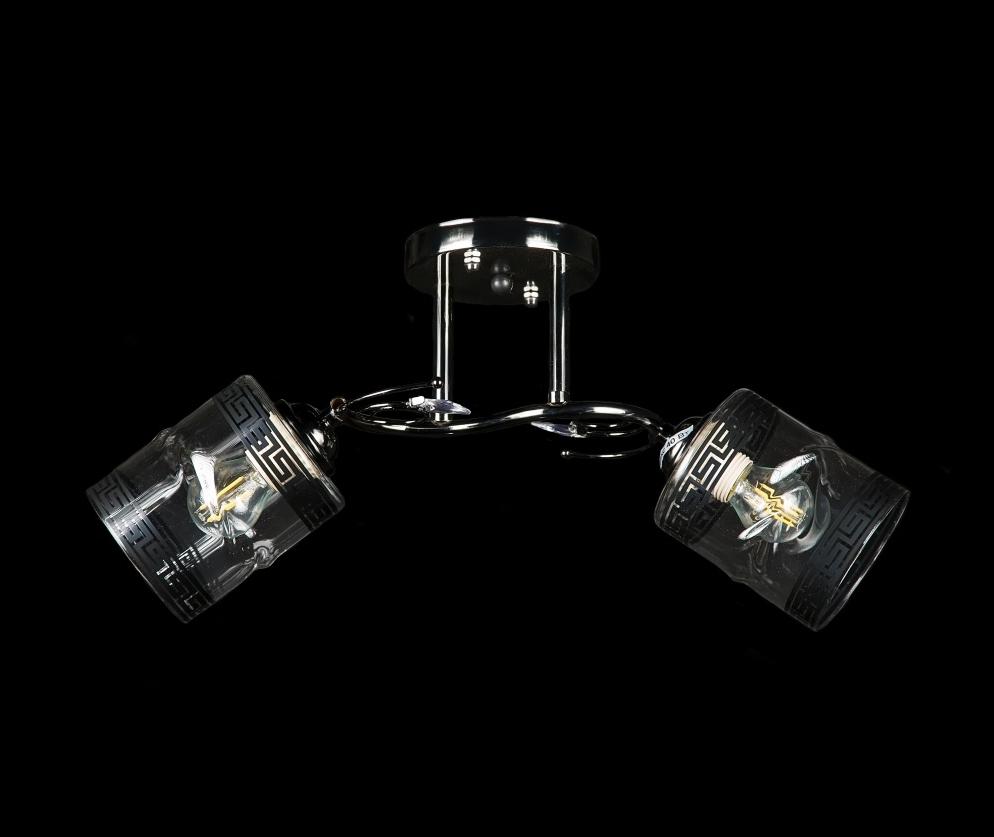 Люстра с плафонами Splendid Ray (L9621/2 GM)