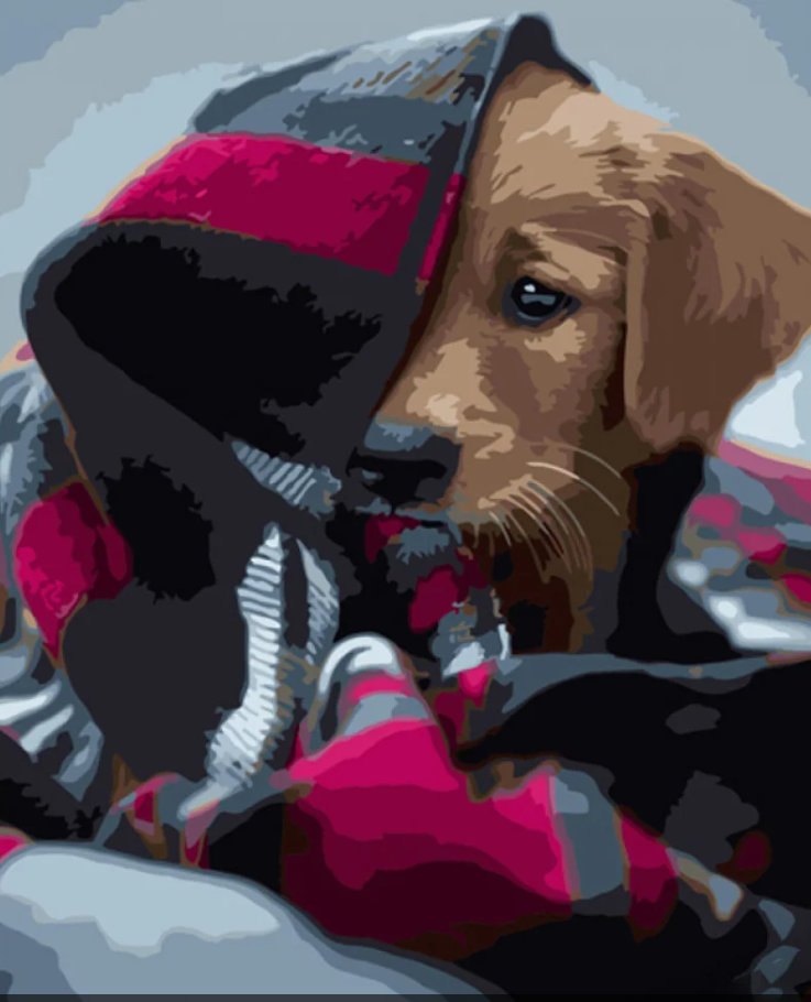 Картина по номерам Strateg Собачка под одеялом 40х50 см (GS1296)