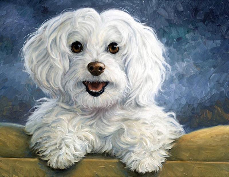 Алмазная мозаика Счастливчик 30x40 см (DM.199)
