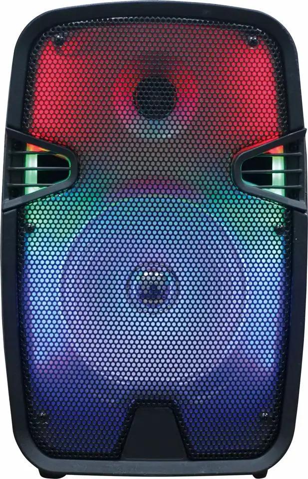 Портативная акустическая система Winso OTY809 с RGB с микрофоном и пультом 8" 10 W (6de12648)