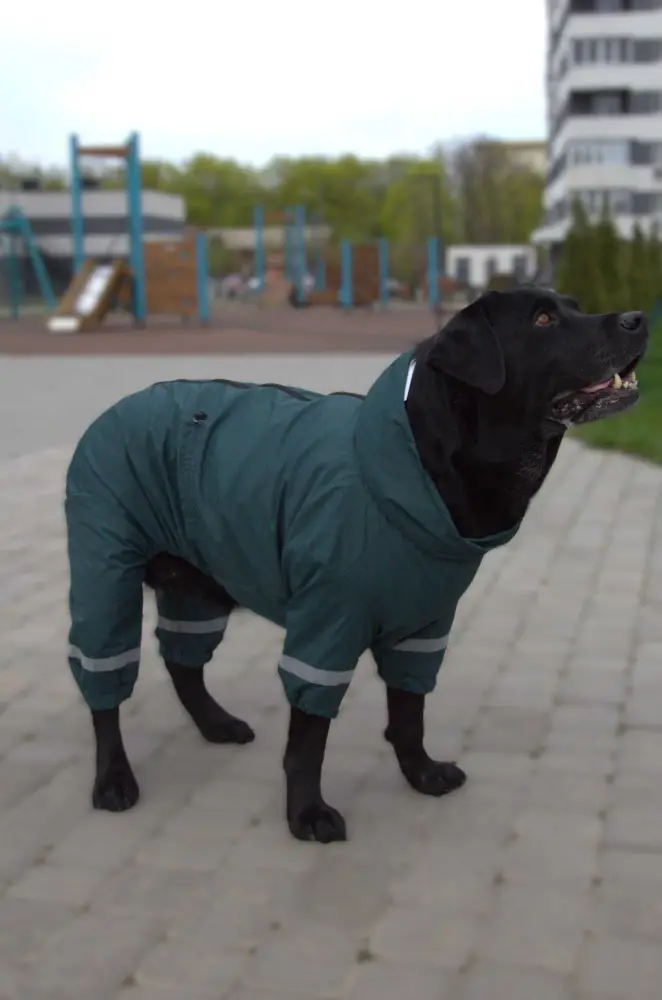 Дощовик Dogs Bomba для великих собак Смарагд (MB-1/10)