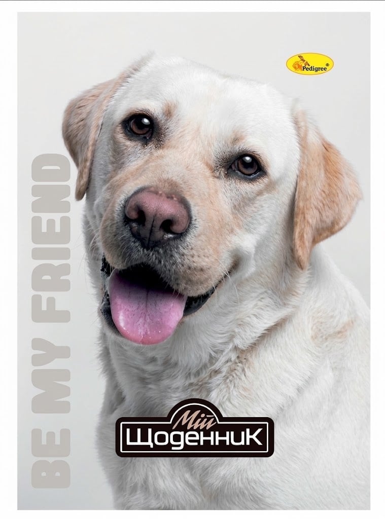 Школьный дневник Апельсин Be my friend Серый (SL-439-B-10) Школьный дневник Апельсин Be my friend Серый (SL-439-B-10)