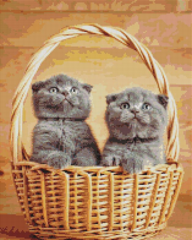 Алмазная мозаика Brushme Британские котята в корзине 40x50 см (DBS1099)