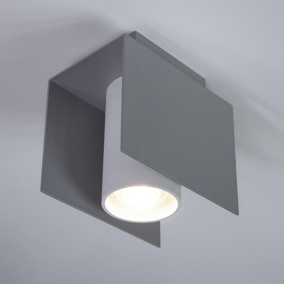 Светильник потолочный Imperium Light Bonn 1 SI/WH (316112.22.01)