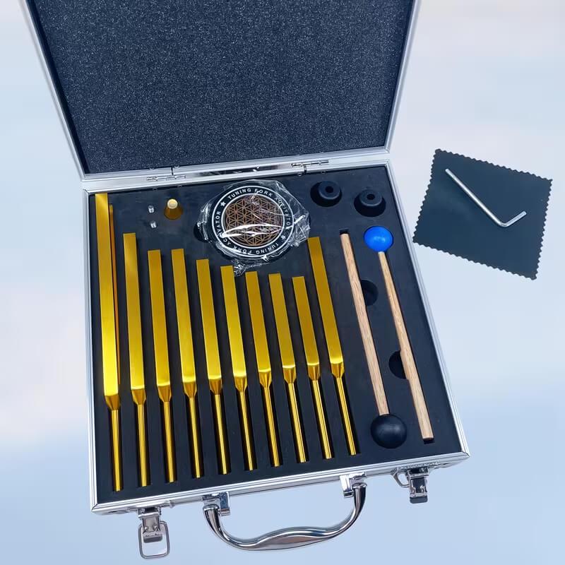 Набір Solfeggio-камертонів Gold Tuning Forks 10 шт. в валізі (NK02518)