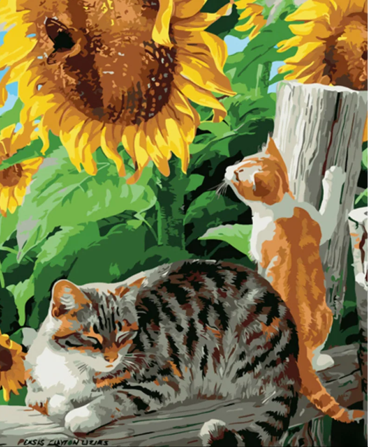 Картина по номерам Strateg Котики под подсолнухами 40х50 см (GS1053)