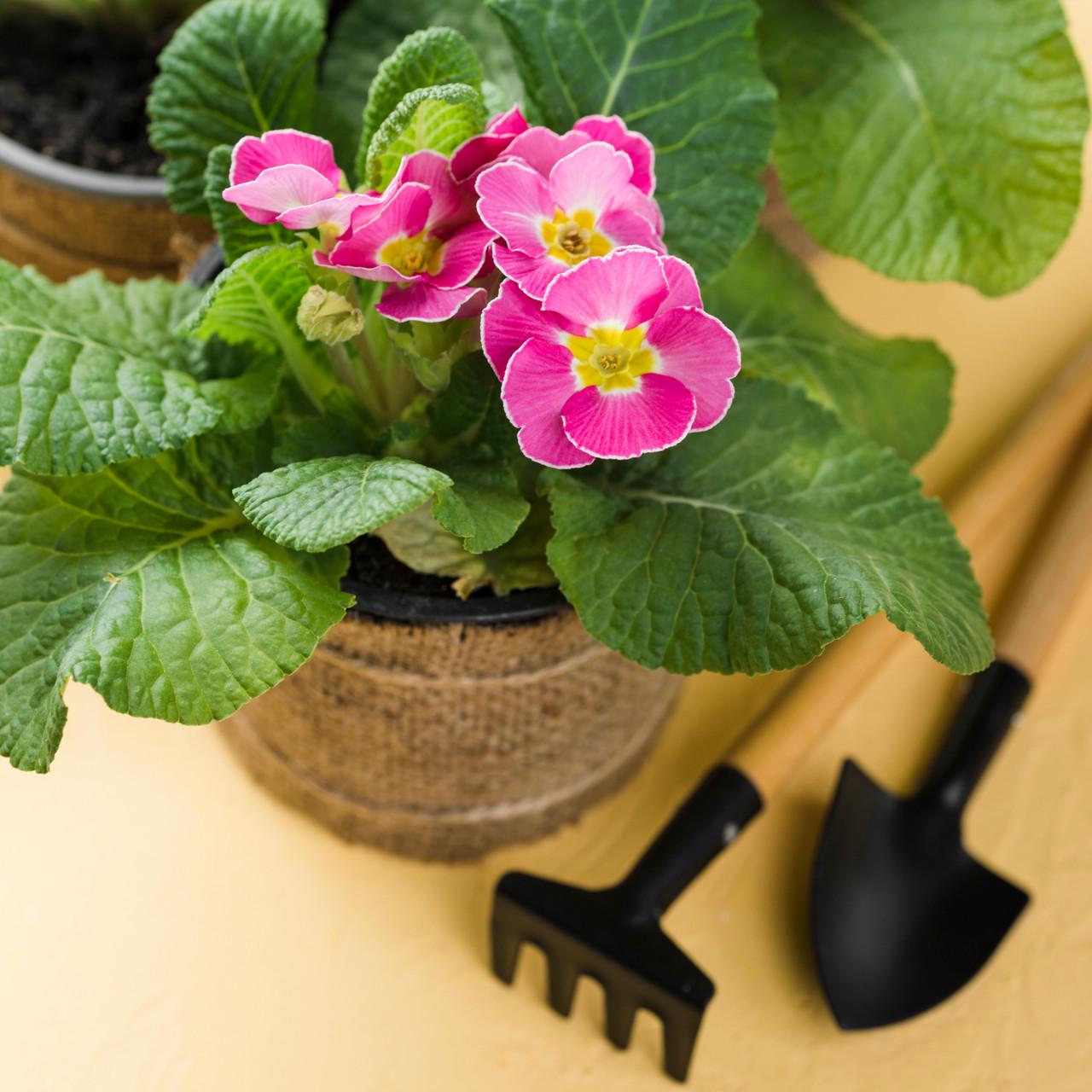 Субстрат Biovita универсальный 10 л (A-026047) - фото 5 Субстрат Biovita универсальный 10 л (A-026047) - фото 5