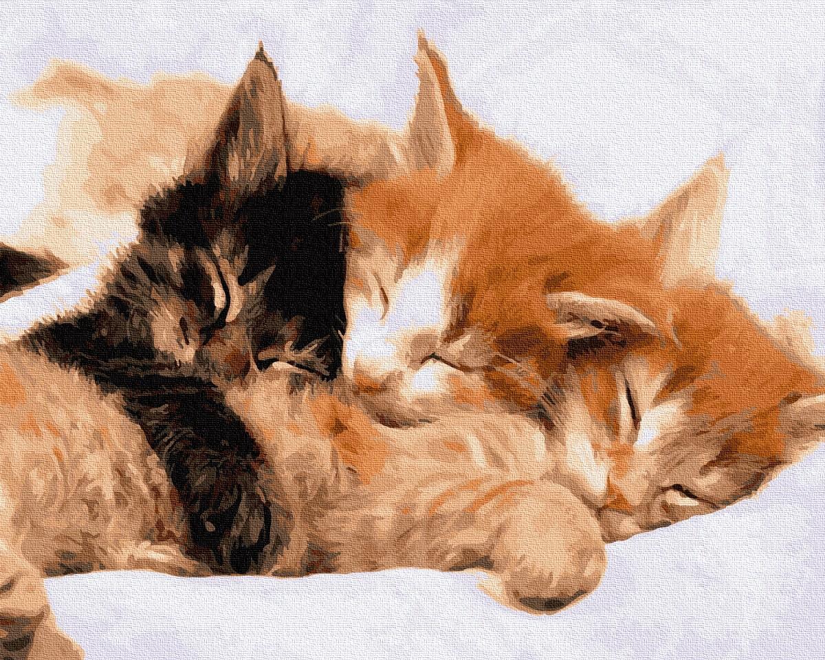 Картина по номерам Brushme GX21718 Спящие котики 40x50 см (1440362706)