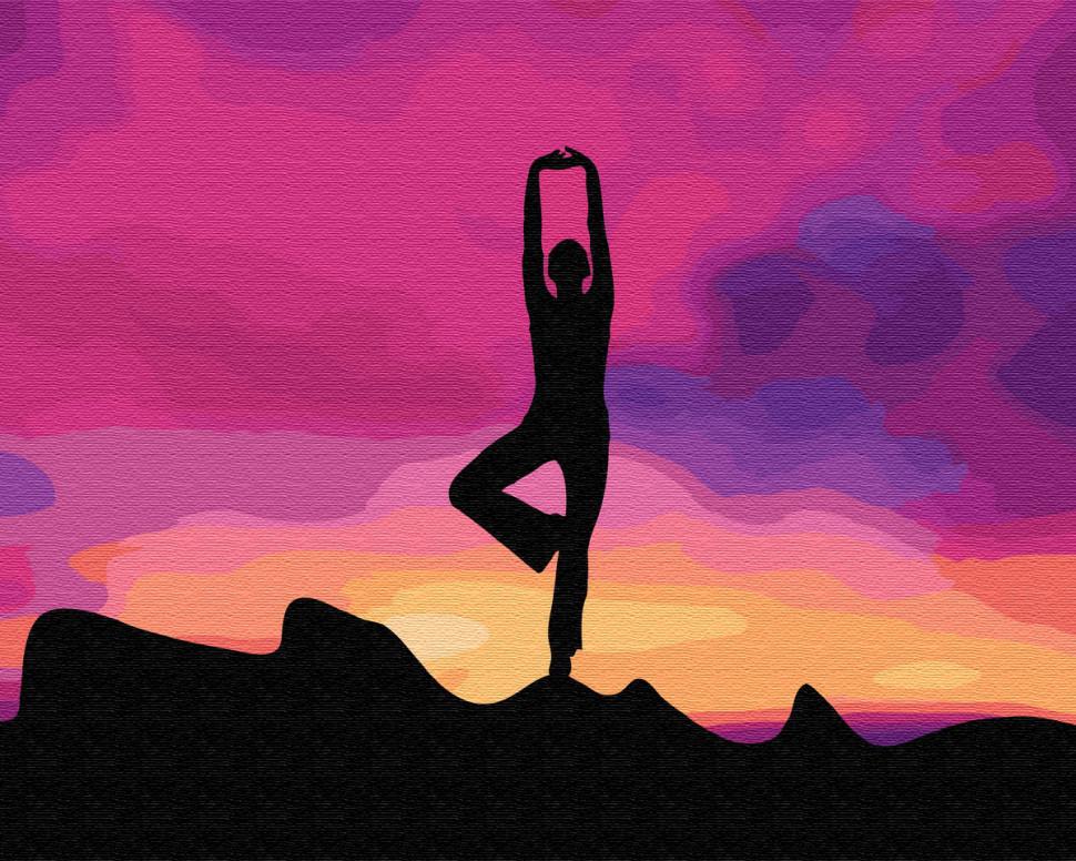 Картина по номерам Brushme "Асана йоги" (GX34817)