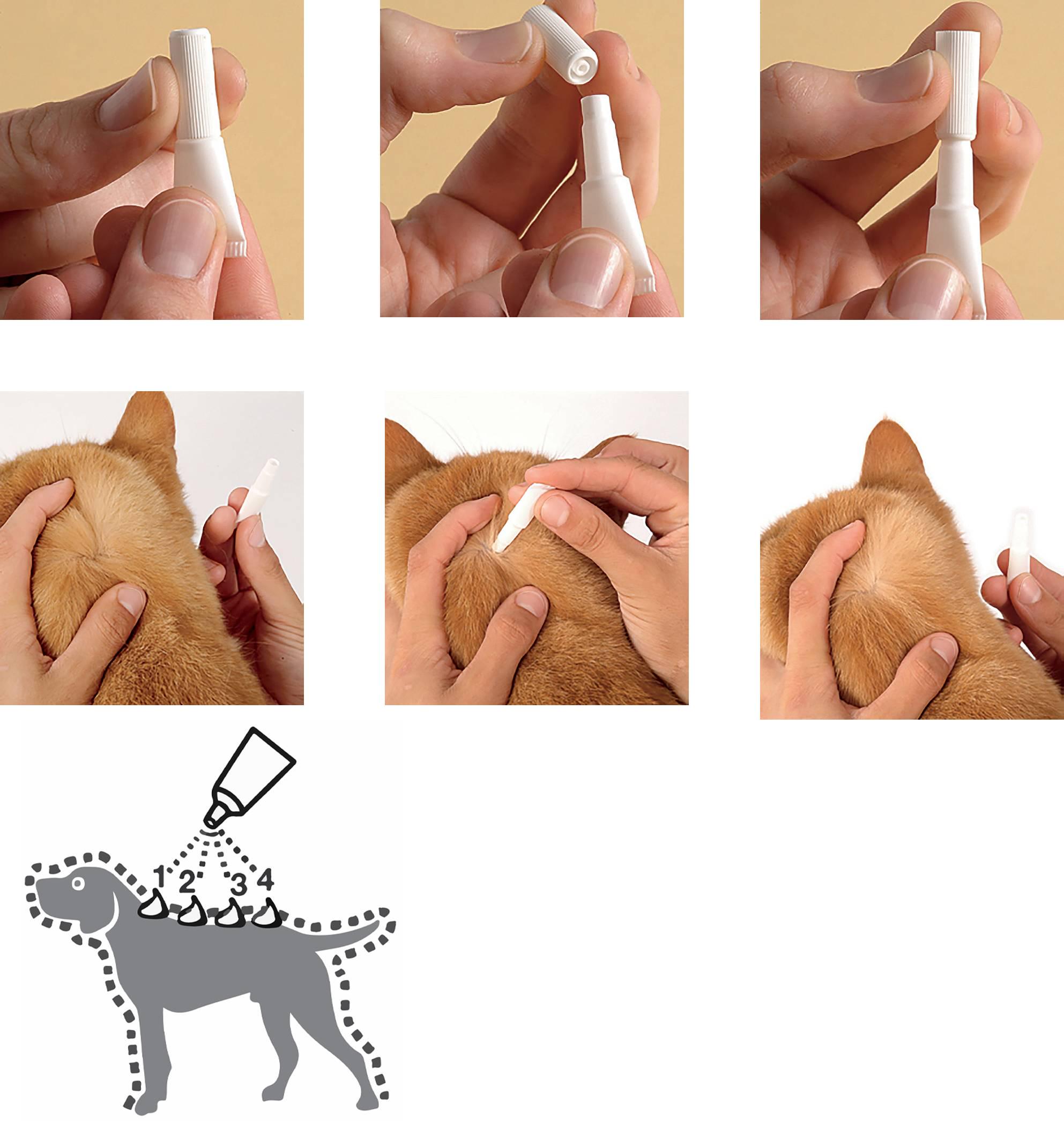 Краплі Bayer Адвокат від заражень ендо та екто паразитами для котів до 4 кг 3 піпетки (4007221031963) - фото 5