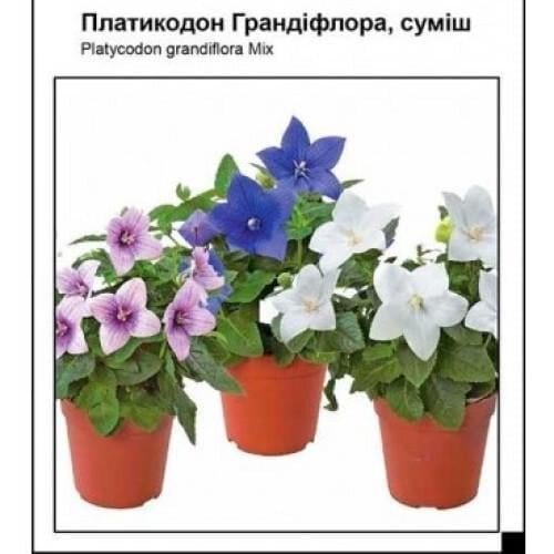 Насіння квітів Платікодон Грандіфлора суміш (SZ-1072)