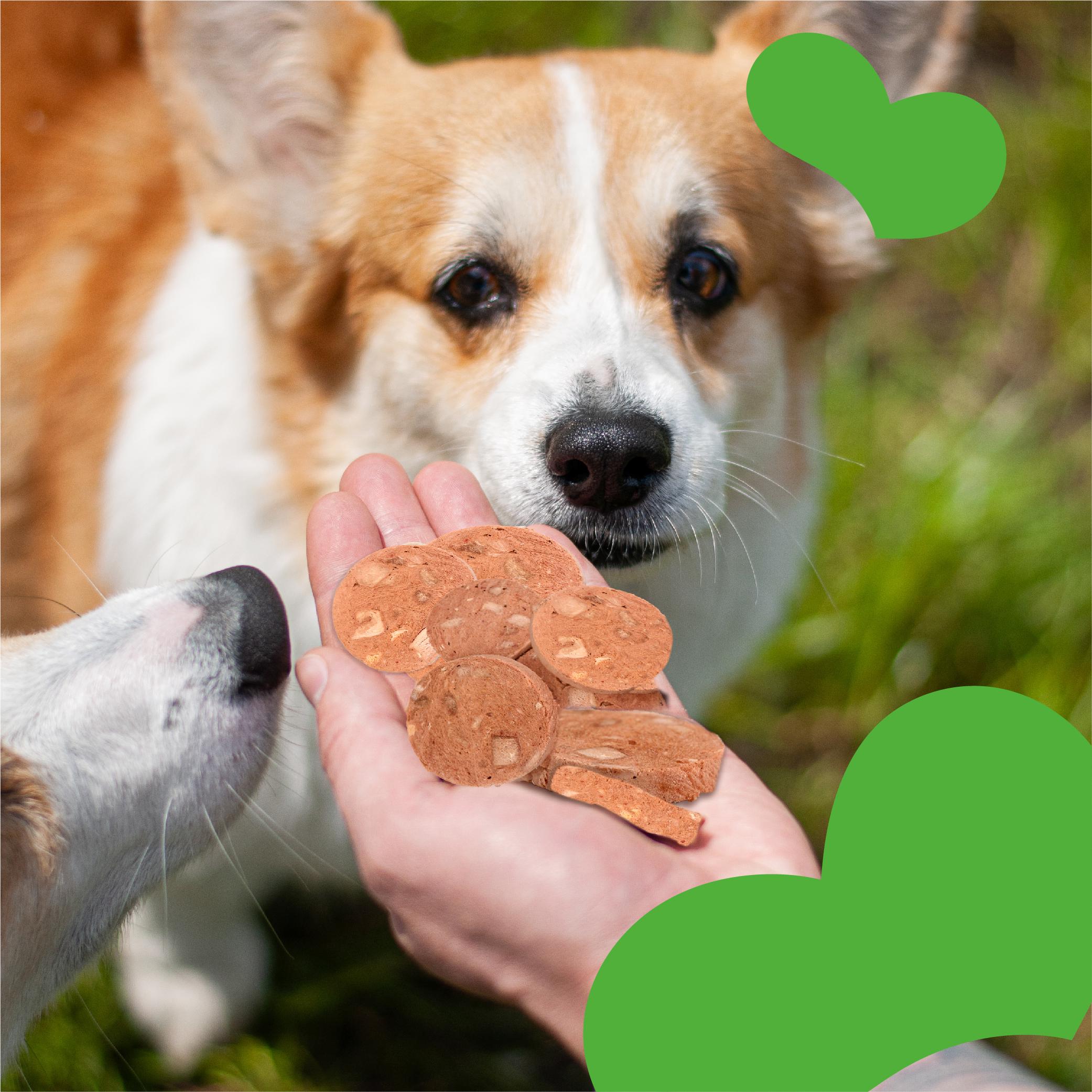 Лакомства для собак Mavsy Freeze dried DUCK FOIE GRAS WITH CARAMELIZED APPLE фуа-гра с карамелизированным яблоком от 3-х мес. 50 г (24624837) - фото 6