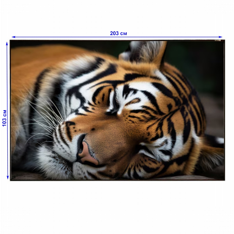 Екран для проєкторів EQUIPIFY ALR рамний настінний 203x153 см (tf2931) - фото 7 Екран для проєкторів EQUIPIFY ALR рамний настінний 203x153 см (tf2931) - фото 7