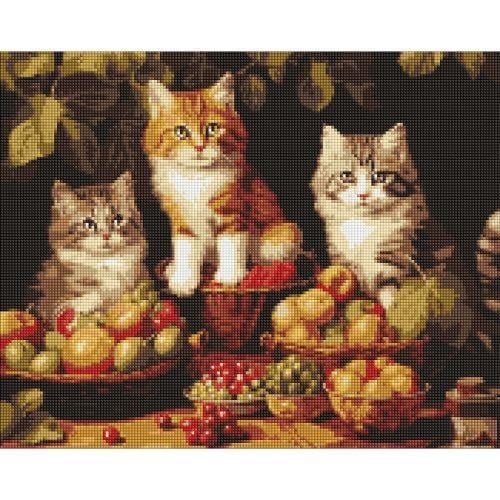Алмазная мозаика Ideyka Котики и фрукты 40х50 см (9999239365)