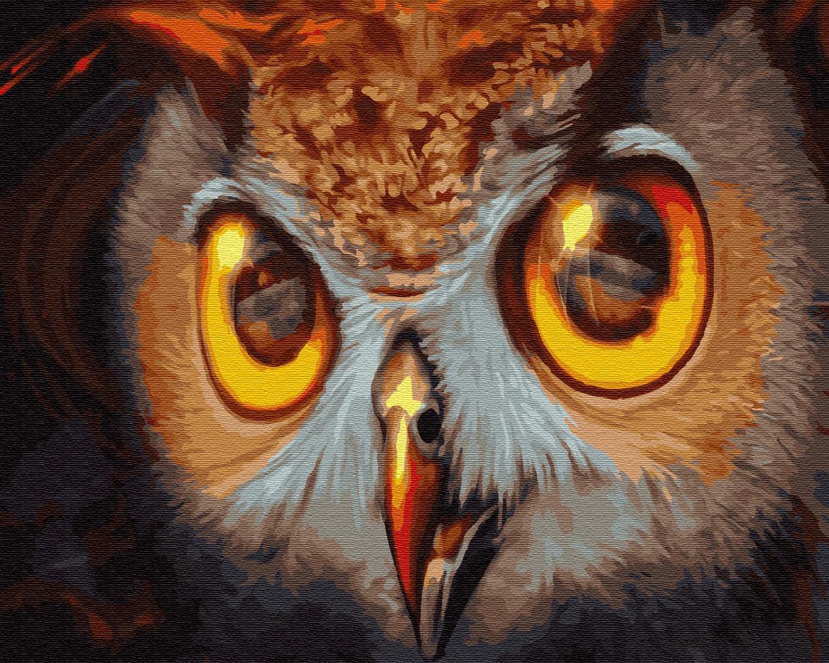 Картина по номерам Brushme GX30086 Взгляд совы 40x50 см (1417531239)