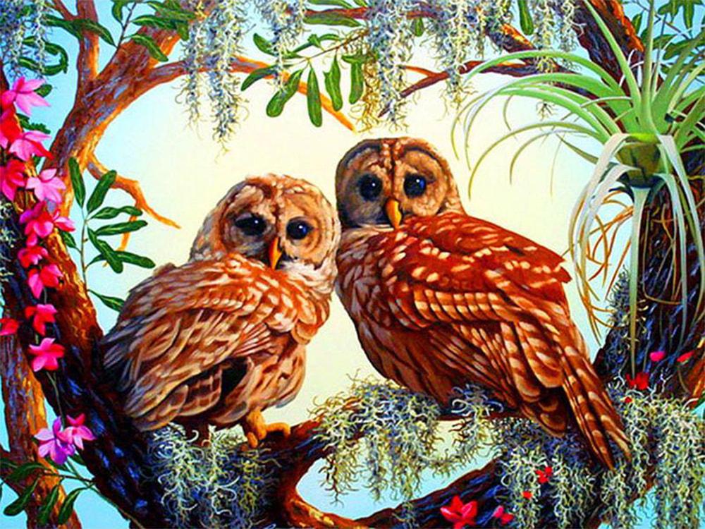 Алмазна мозаїка Совушки на полотні з підрамником 30х40 см (GB70539)