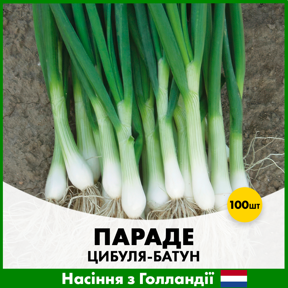 Семена лука-батун Bejo Параде 100 шт. (R30336)