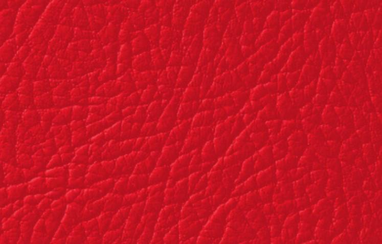 Краска для натуральной и искусственной кожи Leather Expert Colourant 50 г 502 Red
