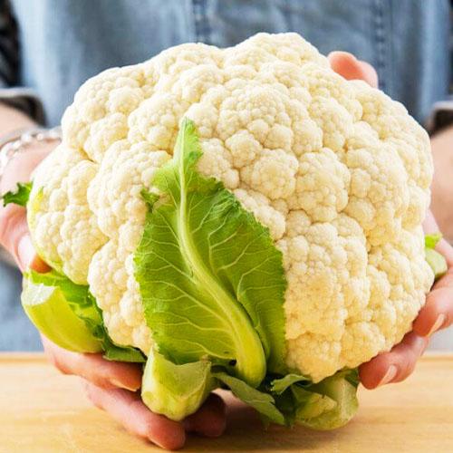 Семена Капуста Florium цвітна Сантамарія F1 (10187) Семена Капуста Florium цвітна Сантамарія F1 (10187)