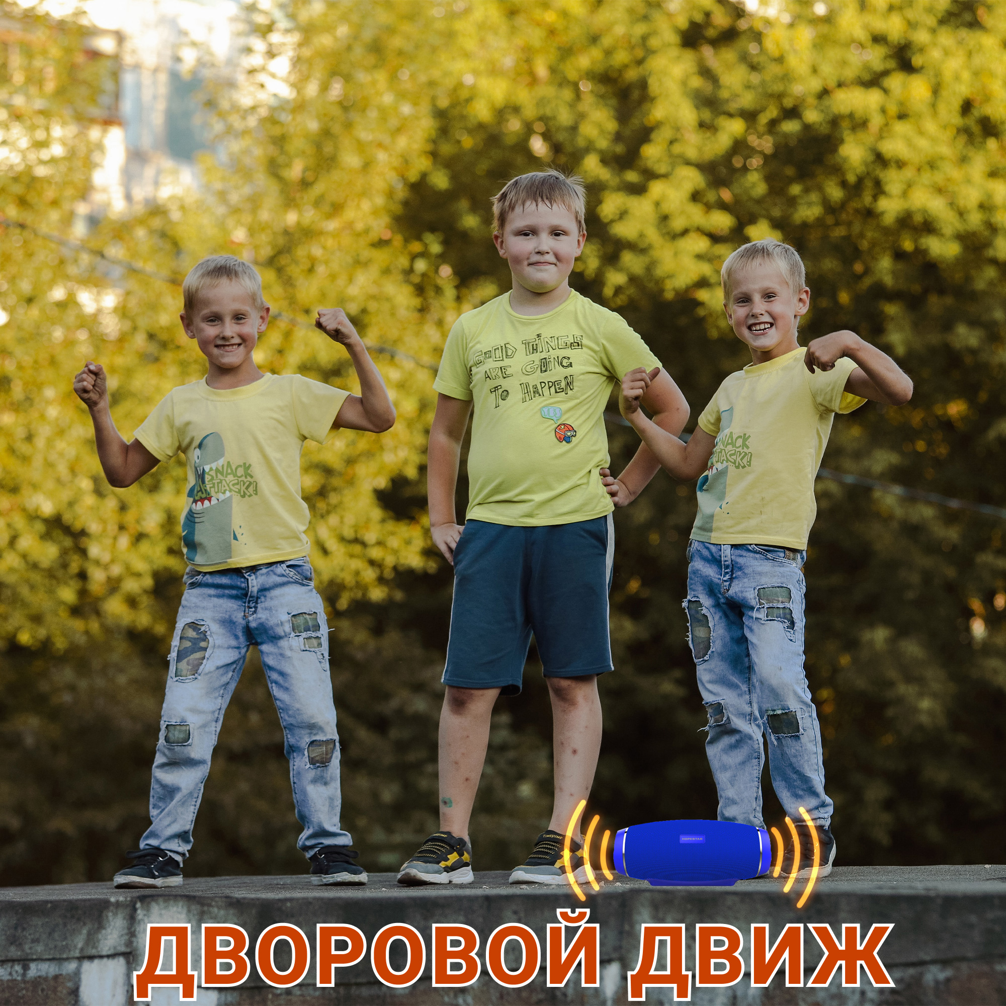 Акустическая система Hopestar PowerBank H27 Голубой - фото 13 Акустическая система Hopestar PowerBank H27 Голубой - фото 13