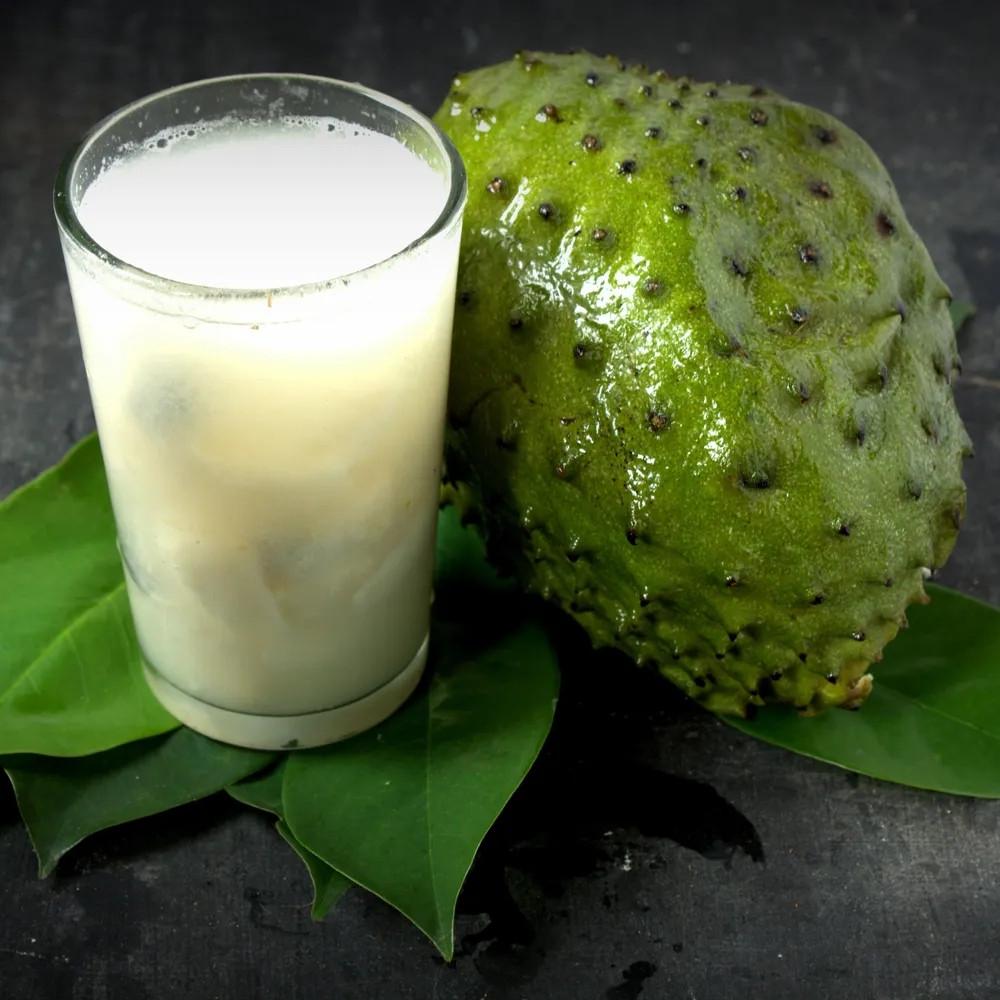 Сметанное яблоко гуанабана Annona muricata семена 5 шт. - фото 5