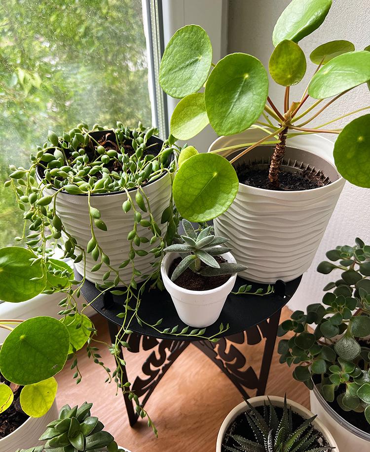 Подставка металлическая для цветов-вазонов NC Home Plant Черный (110396) - фото 4