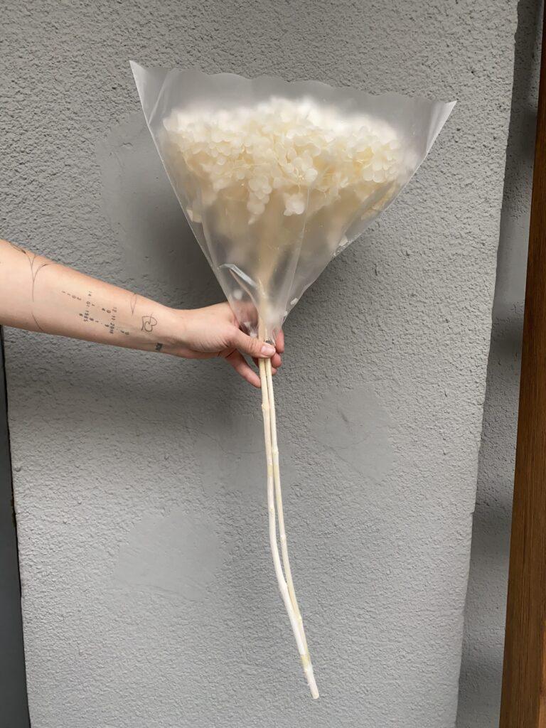 Гортензія стабілізована на стеблі суцвіття 1,5-2 см/стебло без суцвіття 60 см Молочний (14710)