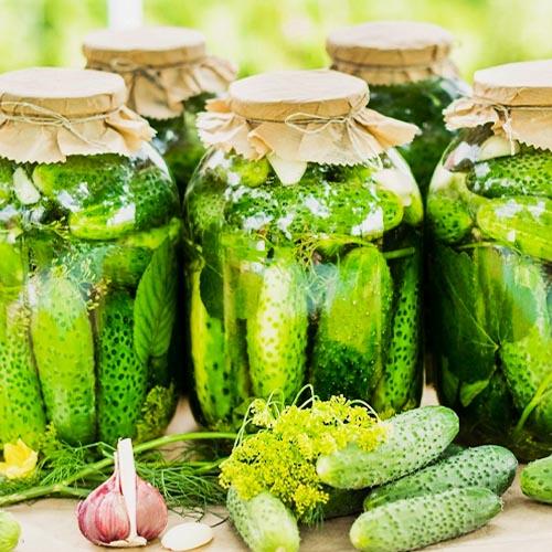 Огурец Florium Рацибор F1 дражированные семена (12439)