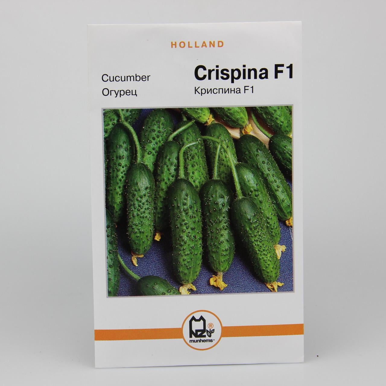 Семена огурца Криспина F1 Holland 3 г (23113) Семена огурца Криспина F1 Holland 3 г (23113)