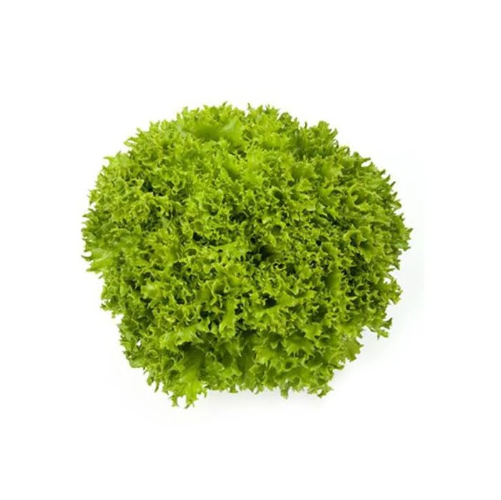 Насіння Салат Експлор ТД Гекса-Україна 01-26-233 1000 шт. (IR02093)