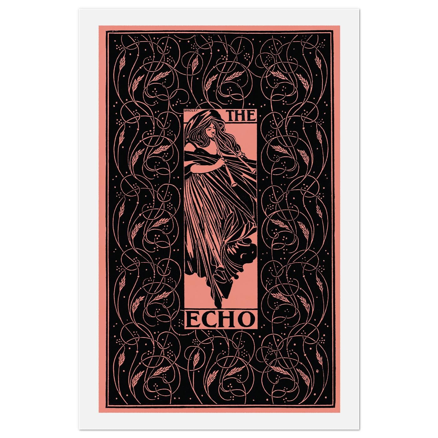 Плакат винтажный The Echo 1896 30x45 см (0190)
