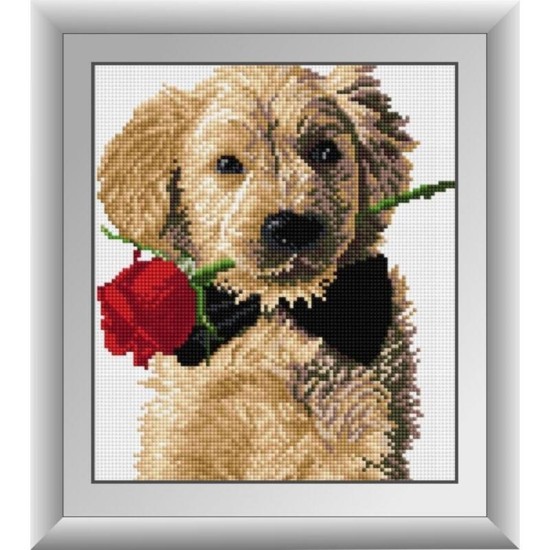 Алмазная мозаика Dream Art Джентльмен 25x29 см (DA.30390)