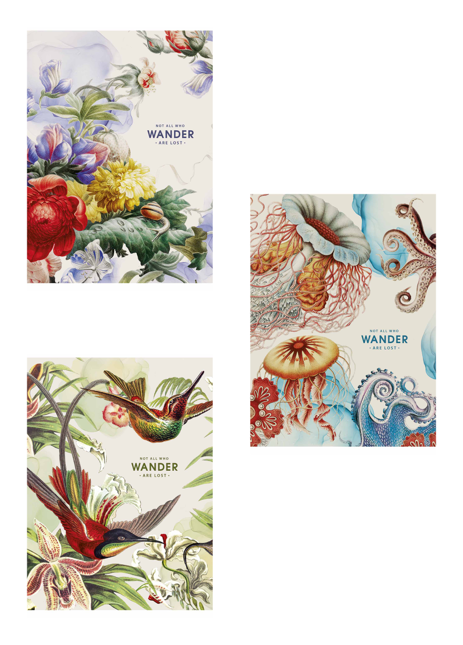 Комплект шкільних зошитів Школярик А4 48 арк. у лінію 3 шт. (5081 4823088229776)