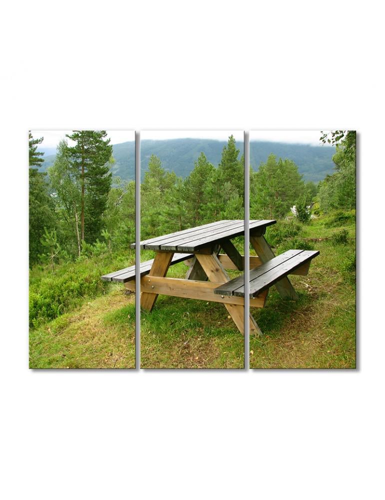 Картина модульная Столик в Карпатах 3 модуля 80x120 см