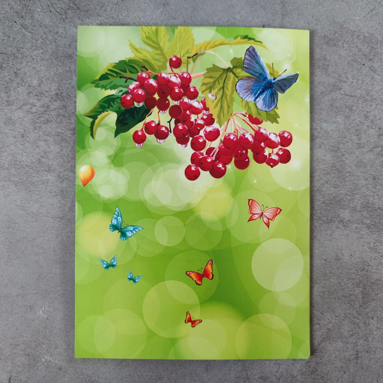 Диплом та медаль для випускника дитячого садка з фотографією (2764491869) - фото 5