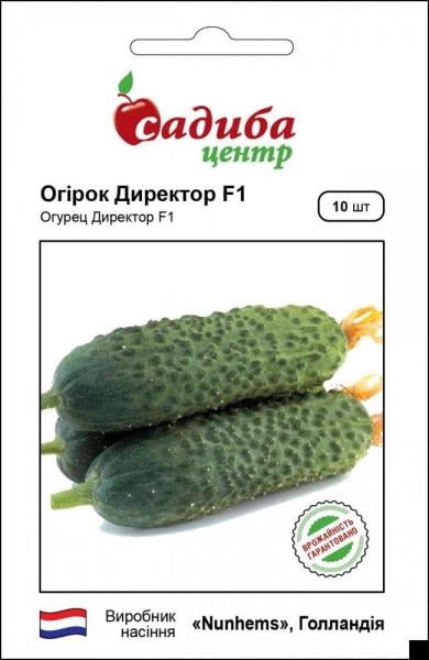 Семена Огурец Директор F1 10 шт. (37696952)