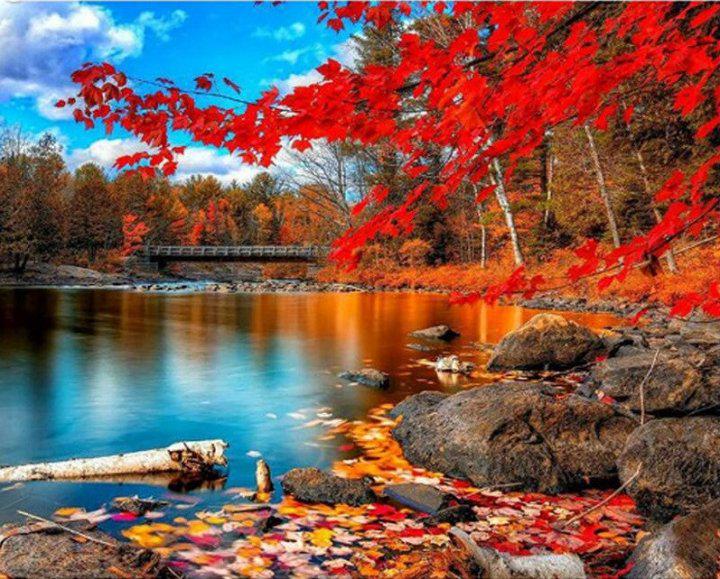 Картина по номерам Josef Otten Пейзаж Багряная осень 40х50 см в термопакете (9369EPH_O-mt)