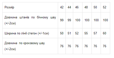 Штани жіночі Носи Своє р. 42 Фіолетовий (8156-025-v31) - фото 2