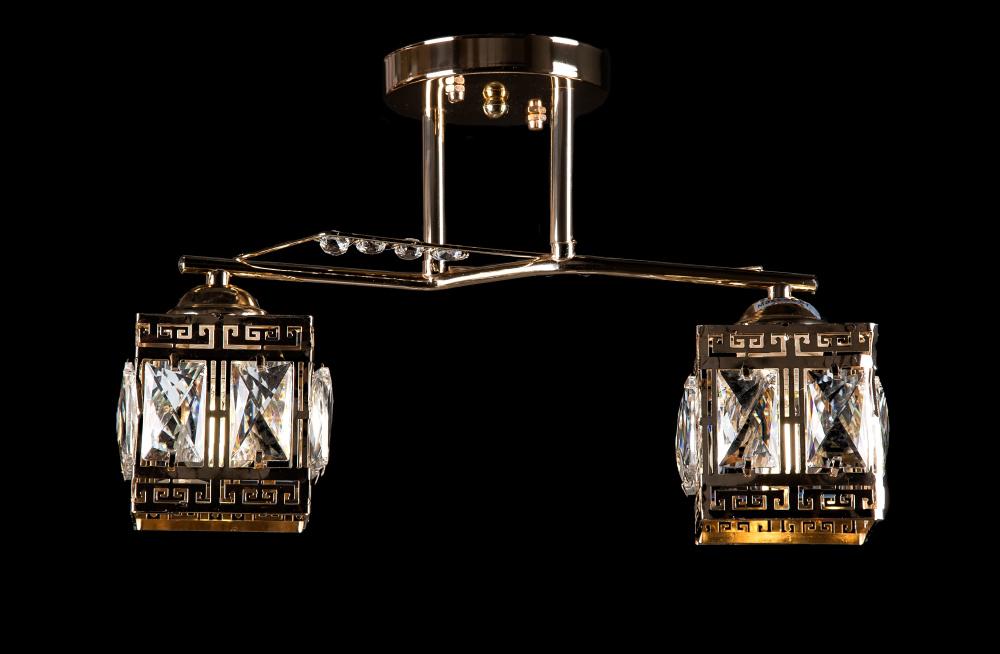 Люстра с плафонами Ray L7332A/2 FGD (IR006041)