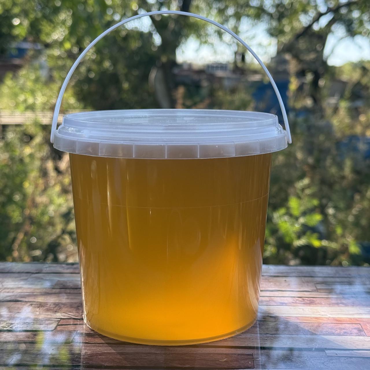 Мед Разнотравье светлое из кочевой пасеки 1 л/1400 г 2025 г. (2728033342)