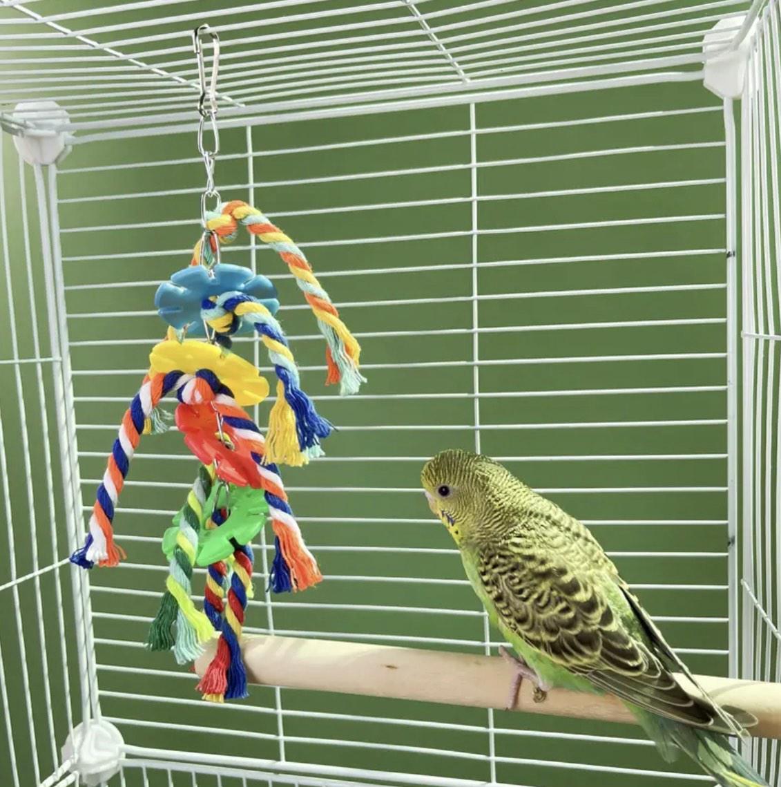 Іграшка плетена для папуг 2 шт. Різнокольоровий (345434534) - фото 6 Іграшка плетена для папуг 2 шт. Різнокольоровий (345434534) - фото 6