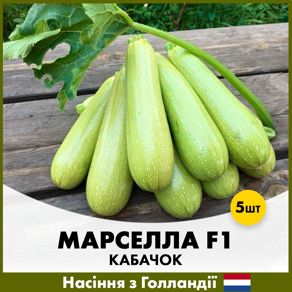 Семена кабачку Enza Zaden Марселла F1 5 шт. (R30335)
