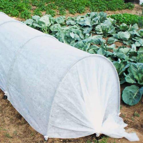 Агроволокно Growtex от заморозков 30 г/м2 12,6х25 м Белый - фото 4 Агроволокно Growtex от заморозков 30 г/м2 12,6х25 м Белый - фото 4