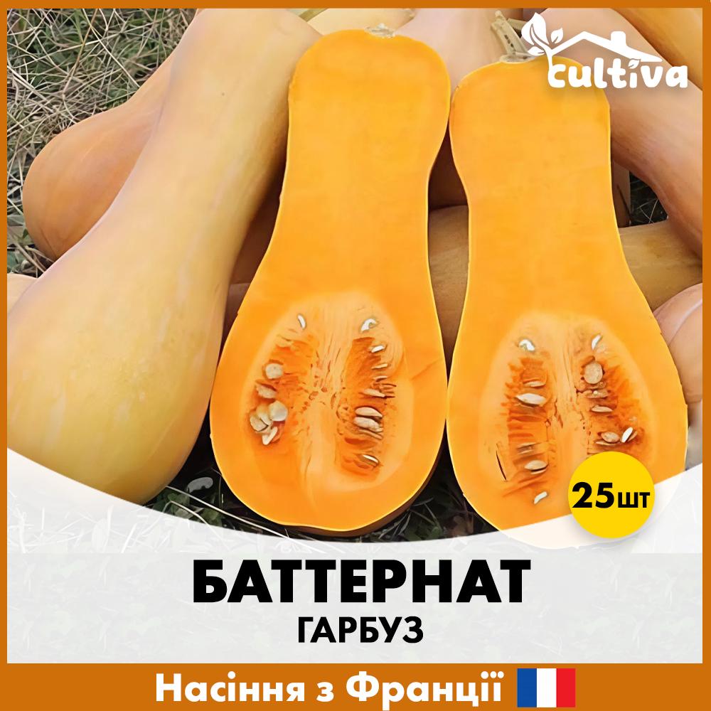Семена тыквы GSN Баттернат 25 шт. (R51130)