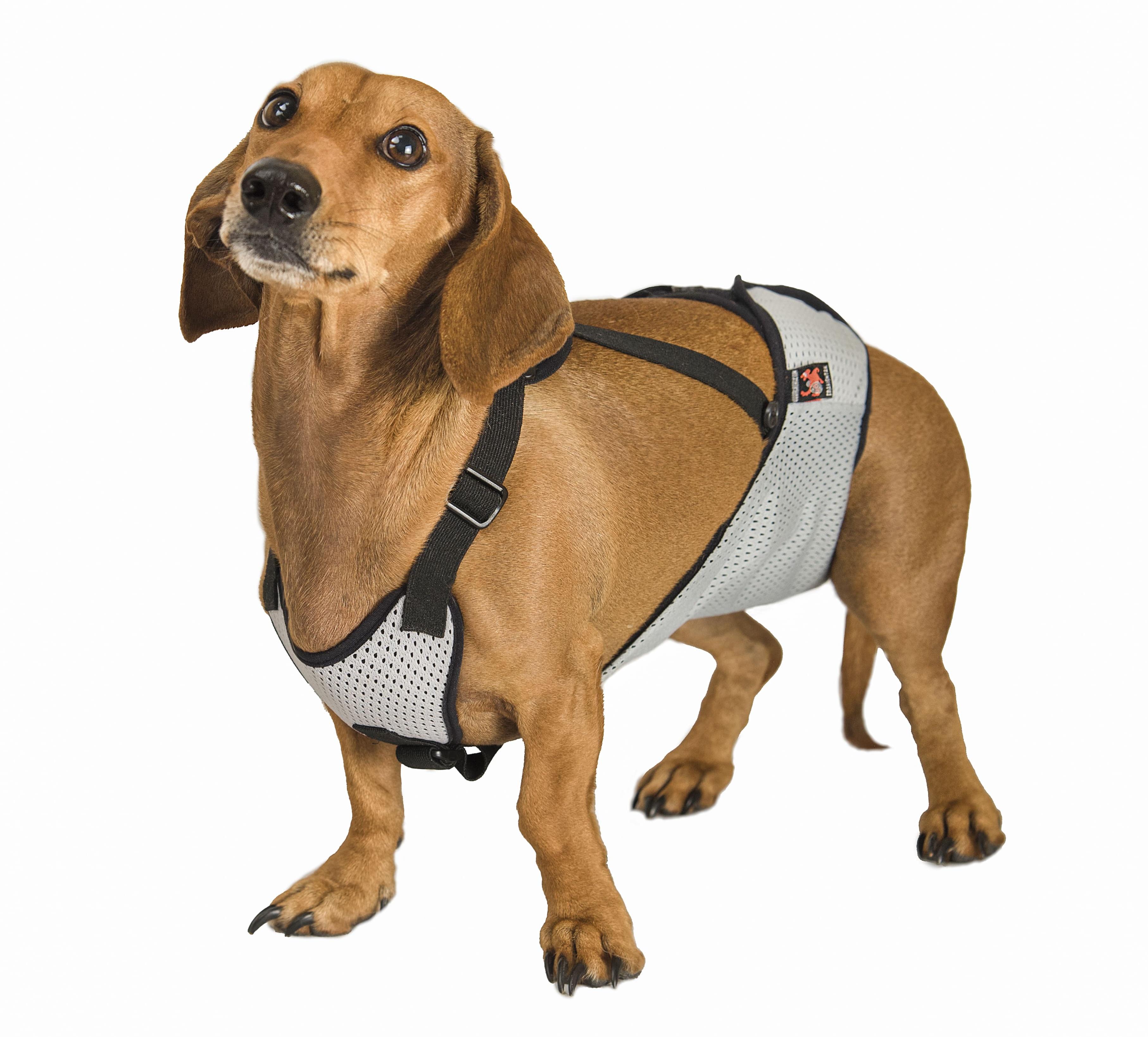 Труси Frakishtak для кобелів S Сірий (28078553)