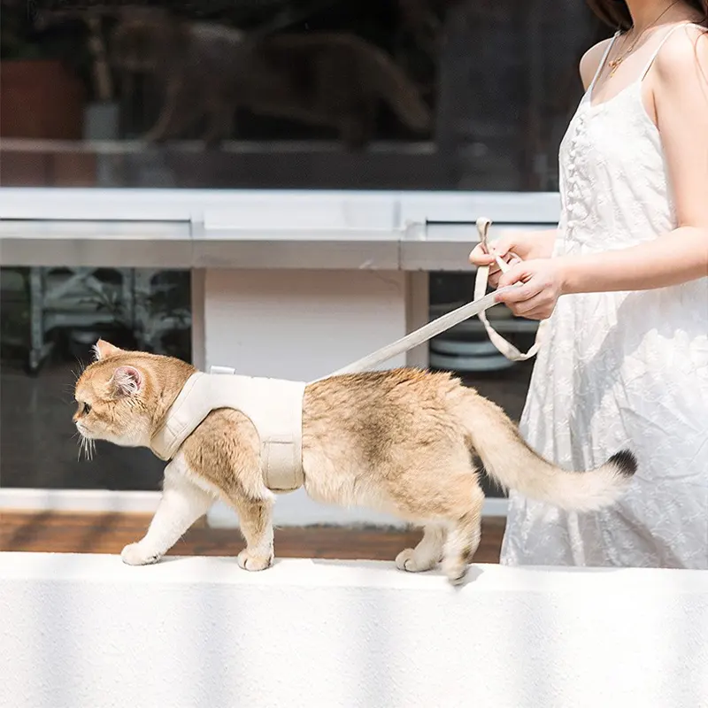 Шлея для котів і дрібних собак Duri на липучках з повідцем L Бежевий (2090554682) - фото 4