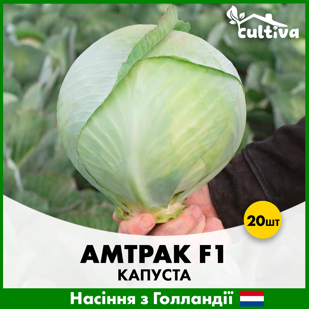 Семена капусты Bejo Белоголова Амтрак F1 20 шт. (00360)