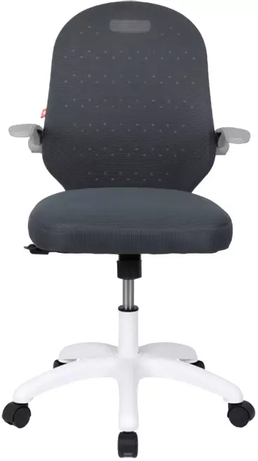 Крісло дитяче на коліщатках АКЛАС Тесоро Tilt Сірий - фото 2 Крісло дитяче на коліщатках АКЛАС Тесоро Tilt Сірий - фото 2