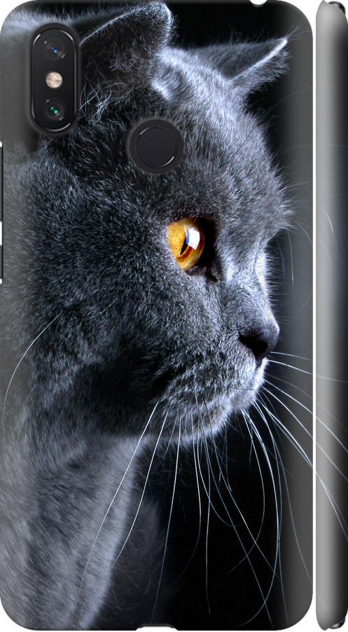 Чехол на Xiaomi Mi Max 3 Красивый кот (3038m-1534-42517)