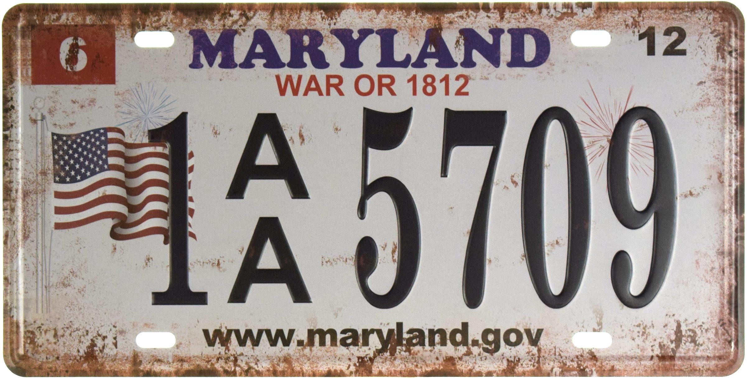 Табличка металлическая Мэриленд/Maryland 1 AA 5709 15x30 см